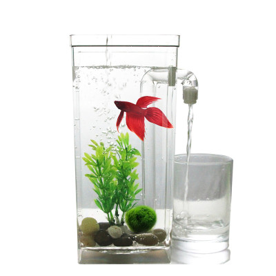 自洁生态鱼缸塑料免换水创意懒人桌面造型摆设个性小型透明仿玻璃