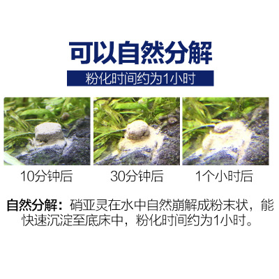 养鱼硝化细菌鱼缸净水剂开缸免换水片剂水族细菌