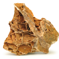 鱼缸造景石 假山石 水造景石火山石枫叶石青苔石造景石头水缸