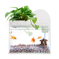 鱼缸造景客厅小金鱼缸小型水族箱桌面超白生态创意玻璃家用免换水