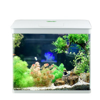 鱼缸水族箱生态桌面金鱼缸玻璃迷你小型客厅懒人免换水家用缸