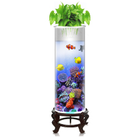 圆柱形桌面小鱼缸 客厅 小型生态水族箱免换水创意落地