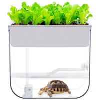 龟缸亚克力小型豪华创意透明免换水净化水循环原生态鱼缸乌龟缸