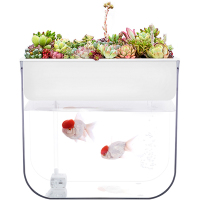 花鱼缸一体懒人免换水小型生态亚克力自循环桌面创意养金鱼缸家用