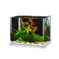 超白玻璃鱼缸桌面创意鱼缸客厅小型懒人玻璃鱼缸生态水缸乌龟缸