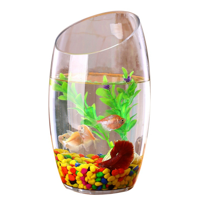 透明玻璃小鱼缸水族箱个性创意两用迷你金鱼缸小型水培植物鱼缸