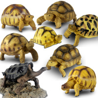 水龟陆龟箱造景装饰用品高仿真龟龟树脂模型