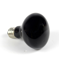 爬虫陆龟箱加热灯加热灯uva保温灯蜥蜴蛇夜灯鹦鹉刺猬爬宠夜间灯