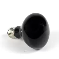 爬虫陆龟箱加热灯加热灯uva保温灯蜥蜴蛇夜灯鹦鹉刺猬爬宠夜间灯