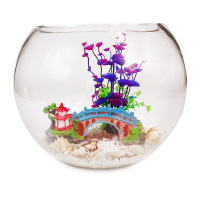 鱼缸小型玻璃乌龟缸特大号圆形客厅桌面创意圆型乌龟缸水培金鱼缸