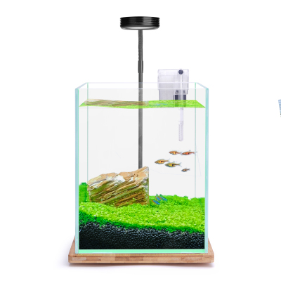 小水鱼缸 小型全套 水族箱造景小缸 桌面水缸含DIY素材水景