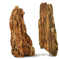 木化石 鱼缸造景石头金木化石 树化石 木纹石 缅甸木化石大型