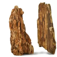 木化石 鱼缸造景石头金木化石 树化石 木纹石 缅甸木化石大型