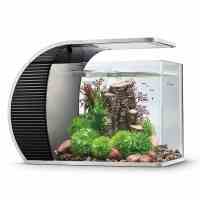 鱼缸水族箱小型真水套餐鱼缸玻璃造景生态小鱼缸热带鱼缸