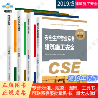 注册安全工程师2019教材 全国中级注册安全工程师考试教材