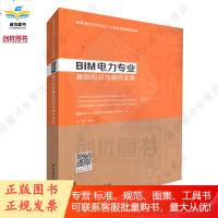 BIM技术系列岗位人才培养项目辅导教材 造价专业/电力业务/装饰专业作实务