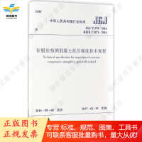拉脱法检测混凝土抗压强度技术规程 JGJ/T 378-2016