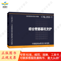 17GL203-1 综合管廊基坑支护