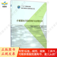 小城镇水污染控制与治理技术 王晓昌 袁宏林 陈荣 著