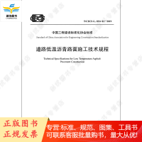 道路低温沥青路面施工技术规程(T/CECS G:D54-01—2019)