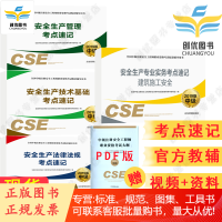 注册安全工程师2019教材中级配套考点速记4本套/单本 应急管理出版社官方自选专业赠电子大纲