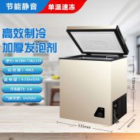 家用商用大容量无霜迷你小冰柜小型小家用冷冻柜冷冻冷藏两门|单门金色73KL139--单温标准款