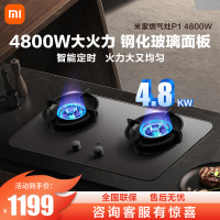 小米(MI)米家燃气灶 家用双灶具4.8kW猛火 P1智能双边定时 底座可调节MJ03CY(液化气)