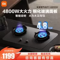 小米(MI)米家燃气灶 家用双灶具4.8kW猛火 P1智能双边定时 底座可调节MJ03CY(液化气)