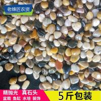 古达鹅卵石雨花石天然小石子鱼缸花盆多肉装饰盆栽园艺彩石头 5斤装 黑色1~3cm一元硬币大小[5斤装]