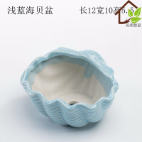 古达多肉花盆器创意中大号口径多肉植物小号拇指花盆陶瓷 浅蓝胖鱼盆 中等 浅蓝海贝盆