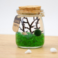 古达 水培植物幸福海藻球微景观生态瓶玻璃瓶迷你盆栽创意 绿翡翠