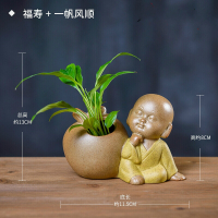 古达一帆风顺盆栽植物富贵竹水里养的花室内绿植水养滴水观音水培花卉 福寿- 一帆风顺 植福系列 带盆栽好