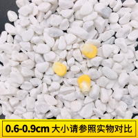 古达鹅卵石天然小石头雨花石白色小石子白石子花盆盆栽多肉装饰铺面 0.6-0.9厘米[5斤装]