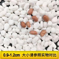古达鹅卵石天然小石头雨花石白色小石子白石子花盆盆栽多肉装饰铺面 0.9-1.2厘米[5斤装]