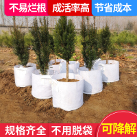 古达 植树袋美植袋无纺布育苗袋加厚特大白色种植树袋营养钵花盆袋种植袋 30*25cm有耳10个