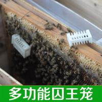 古达蜂具养蜂工具 塑料王笼 蜜蜂多功能蜂王笼囚蜂王囚王笼中蜂蜂箱 50个(平均每个0.45元)