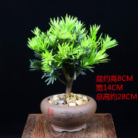 古达罗汉松盆景室内盆栽植物好养客厅办公室桌面绿植四季常青净化空气 5年罗汉松+鸟语花香紫砂盆 带盆栽好