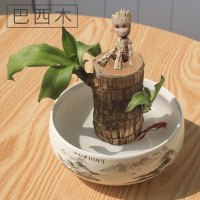 古达巴西木幸运木盆栽水养树桩水培植物室内桌面格鲁特绿植小抖音同款 巴西木+格鲁特树人+水墨瓷盆+水培营养液1瓶 含盆
