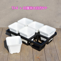 多肉花盆 古达植物播种育苗盆塑料树脂加厚盆栽方盆 小花盆 TJ-6+6个大白方 100个