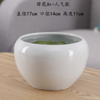 睡莲碗莲盆缸专用陶瓷大号水养植物一叶古达莲荷花盆铜钱水培器皿 荷花缸-人气款 大