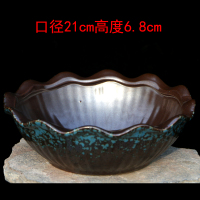 多肉植物花盆大口径拼盘古达个性创意陶瓷粗陶透气老小桩组合阳台花盆 柠檬黄窑变大花边蓝 大