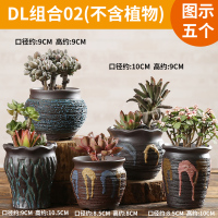 多肉花盆陶瓷大号古达创意简约复古肉肉植物拼盘特大口径 DL组合02(5个) 大