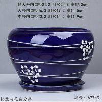 百合花盆陶瓷花盘种木槿大盆古达长形花边青花瓷种多肉种茉莉 A77-3深蓝梅 中等