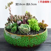 大口径拼盘多肉花盆陶瓷个性粗陶肉肉古达植物大号创意小花盆 拼盘-孔雀绿(带孔) 中等