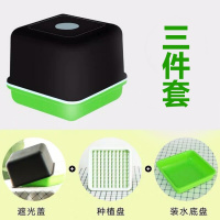 花生芽水培箱发芽育苗盘种植盘盒子豆芽盘古达发苗盆芽苗菜小方盒 花生盒1个