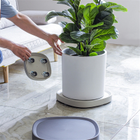 [赠品优质评价截图后联系客服领取]移动花盆托盘底座带轮万向轮古达花盘拖滚轮滑轮白色塑料隐藏隐形轮子