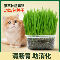 猫草种子古达盆栽懒人猫草土壤即食去化毛球片幼小麦猫草粒猫咪用品
