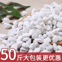 50斤装白色石子古达石头大鹅卵石庭院铺路铺地小白石头造景景观白石子