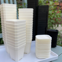 热卖八角加厚古达小白方多肉花盆特厚塑料方形植物叶插育苗盆大黑方盆