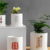 新款哑光直筒北欧简约托盘古达植物个性室内盆栽可爱家用创意陶瓷花盆